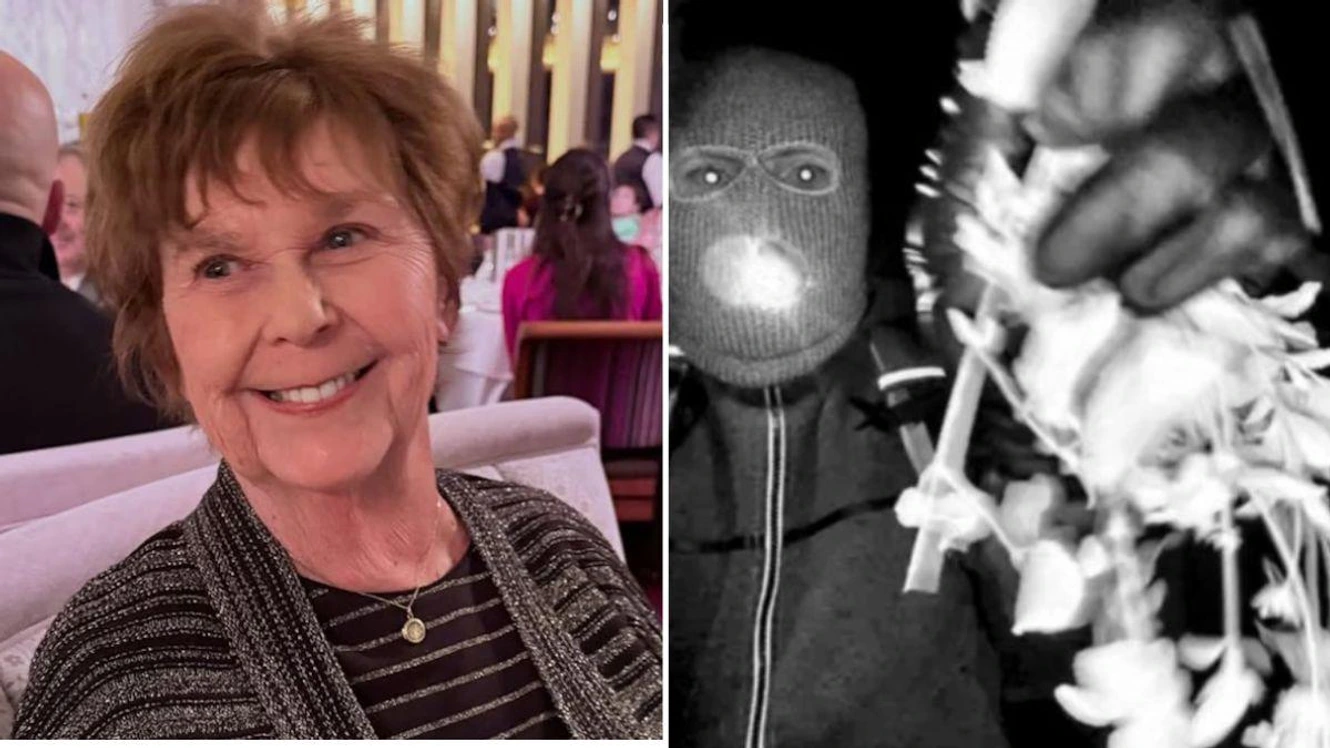 Nancy Guthrie's kidnappers 'didn't care she died'