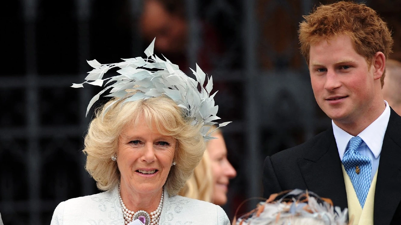 Queen Camilla Feels Prince Harry Will 'Turn On The Family Again'
