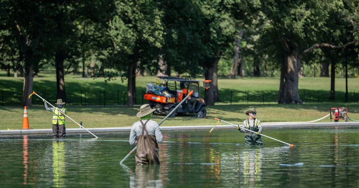 Trump's renovation leaves Reflecting Pool with record algae