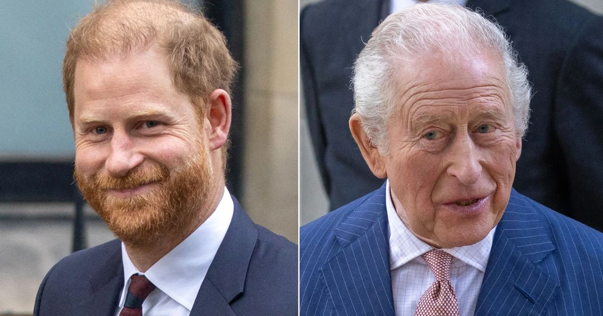 Prince Harry and King Charles haven't spoken since UK reunion
