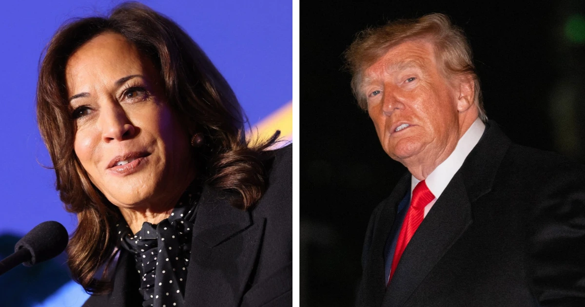 Donald Trump's former rival Kamala Harris warns Democrats against trying to impeach the president again: 'Going in the direction of impeachment is not a good idea'