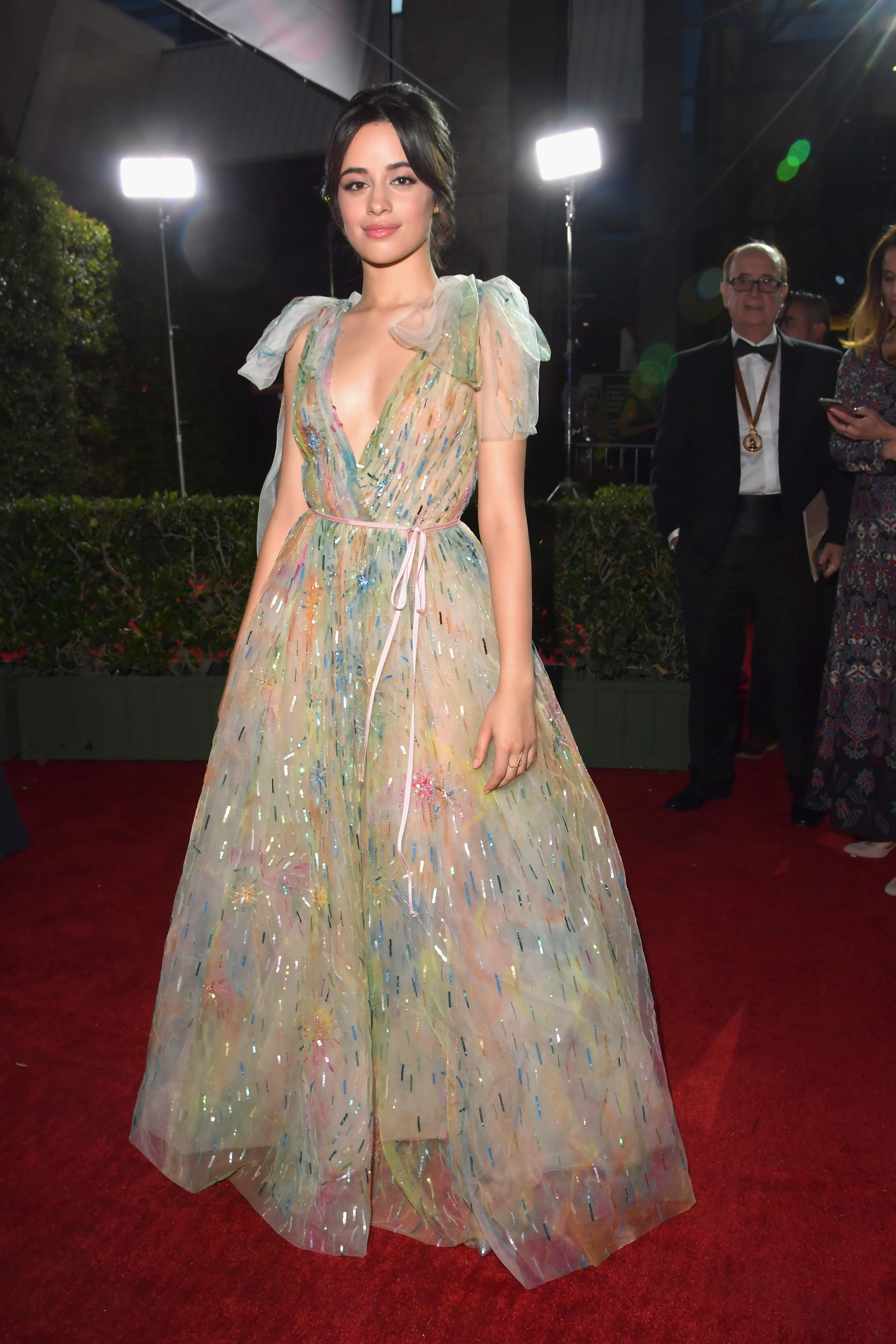 2017 Latin Grammy Awards: See the stars on the red carpet