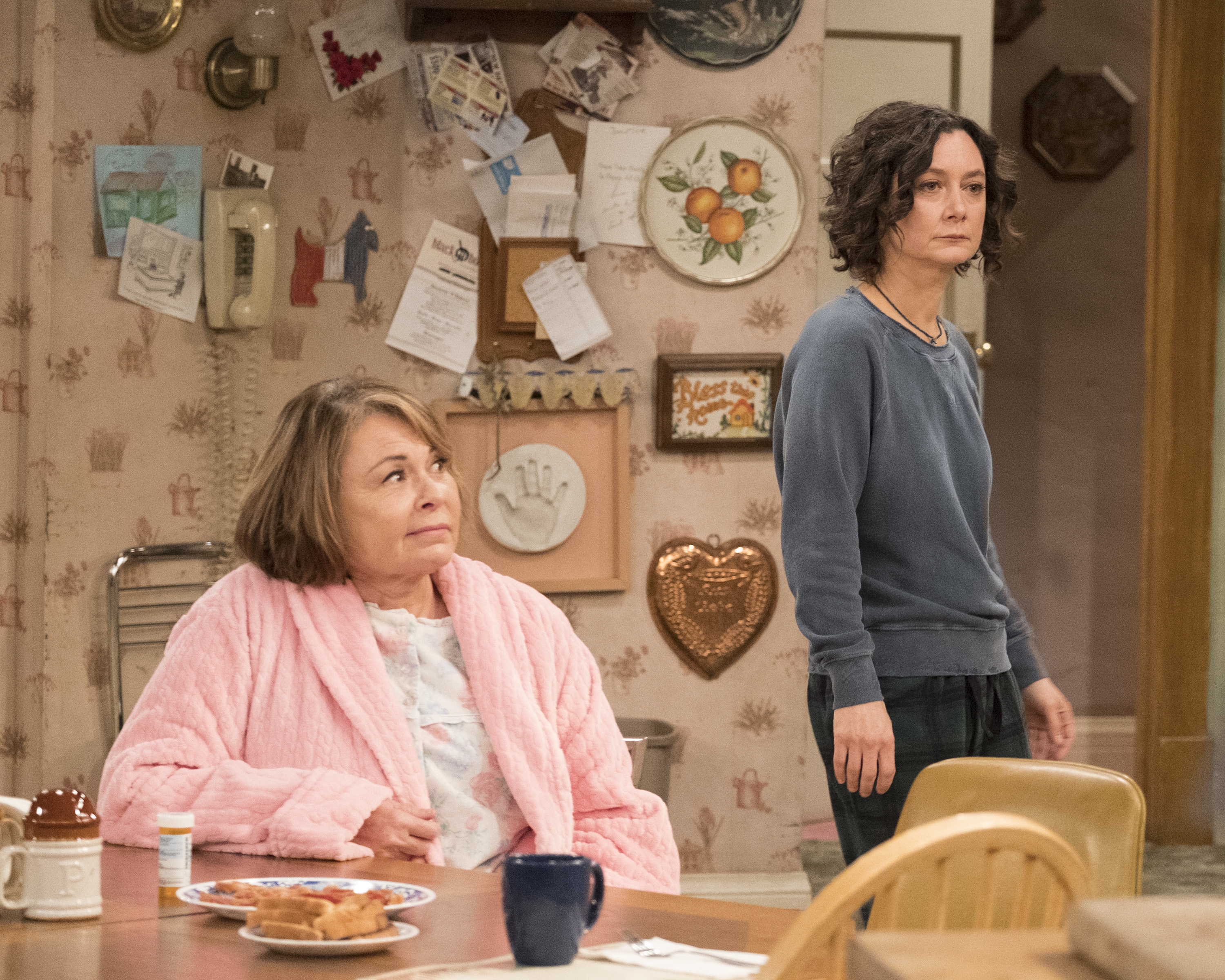 Roseanne admits using anonymous Twitter accounts to troll people