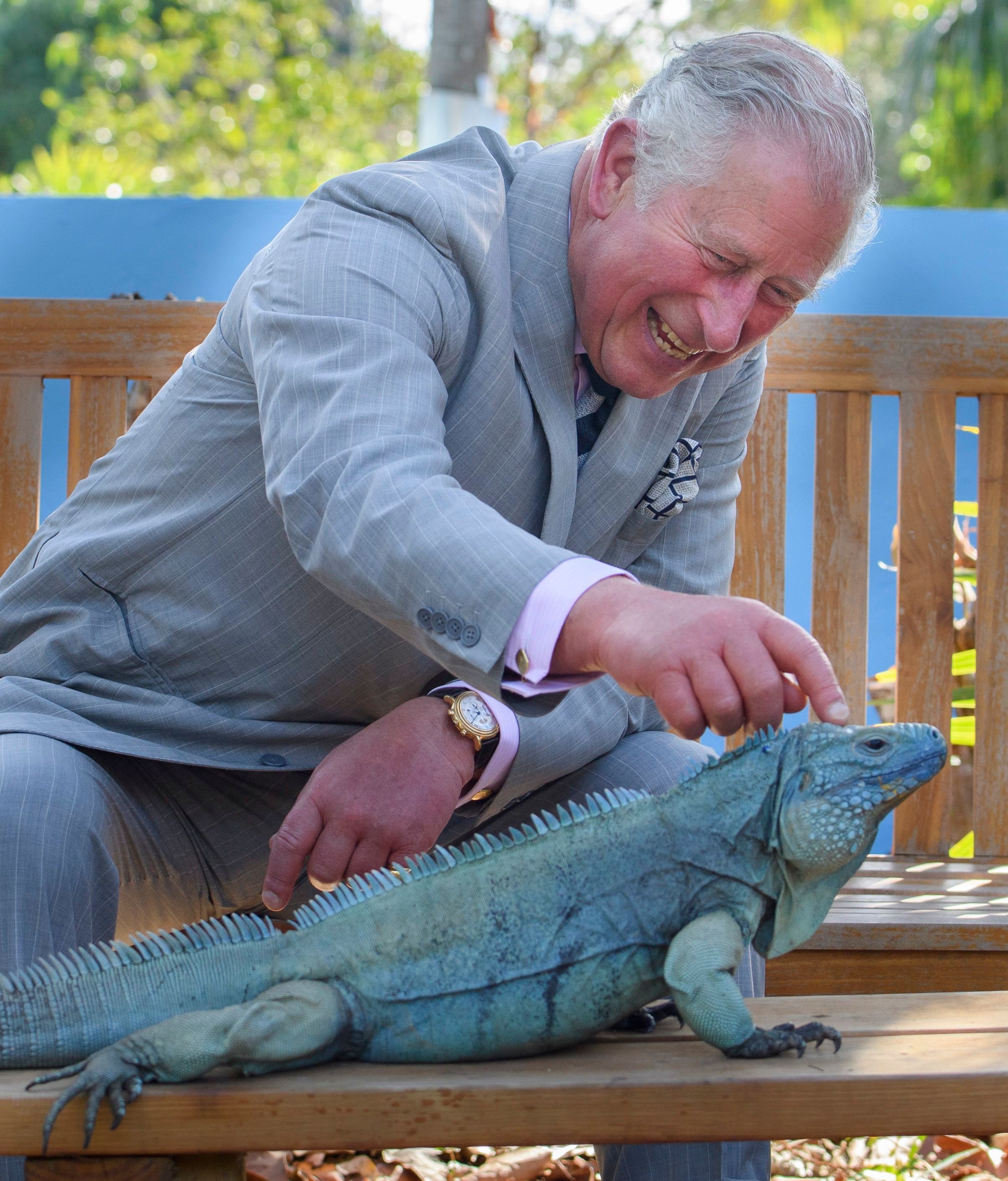 Prince Charles, Duchess Camilla's Caribbean royal tour - Best photos
