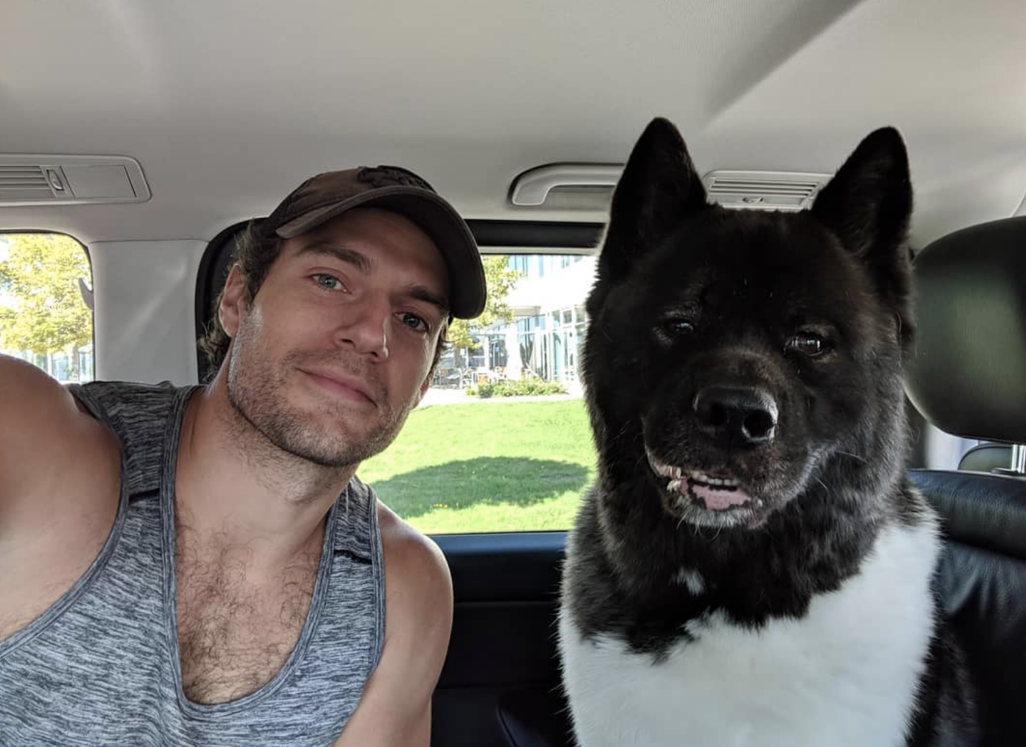 Henry Cavill's dog Kal injured after wild chase with 'brave' cat: Photos