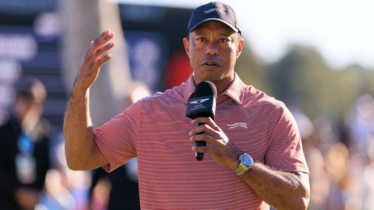 Tiger Woods 'leaned on' ex-wife Elin Nordegren following terrifying ...